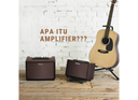 Amplifier dan Fungsinya