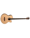 Tanglewood TRU 7AB CE BW Reunion Pro