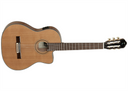 Tanglewood Evolution IV TW TLC E