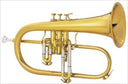 King Professional Model 2020 Flugelhorn