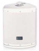 Sound King FT6 or FT8