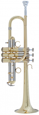 Bach Professional Model ADE190 EbD Trumpet