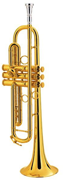 CG Conn Professional Model 1BGP Bb Trumpet