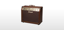 Marshall AS100D Acoustic Amps