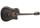 Tanglewood TW5 E BS