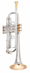 CG Conn Professional Model 1BSSPG Bb Trumpet
