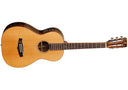 Tanglewood Parlour Acoustic TWJP E