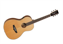 Tanglewood Evolution IV TP CSN E Parlour Electro Acoustic, Natural