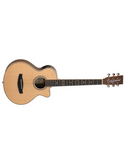 Tanglewood TRU 2CE BW REUNION PRO SPR FOLK  Travel Solid Top Ctwy