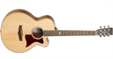 Tanglewood Premier TW145 SS CE