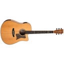 Tanglewood Acoustic Steel String Guitar TRD CE FMH