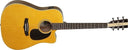 Tanglewood Nashville V TN5 D CE
