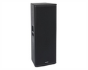 Samson RSX215 - 2-Way Passive Loudspeaker