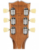 Gibson Les Paul Standard '50s Figured Top Electric Guitar - Honey Amber LPS500HYNH1