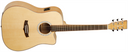 Tanglewood TW28 CE XFM
