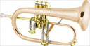 CG Conn Professional Model 1FRGP Flugelhorn