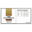 Olympia WBS-630 Contra Bass String