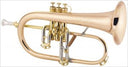 CG Conn Professional Model 1FR Flugelhorn