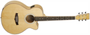 Tanglewood TSF CE XFM