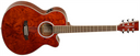 Tanglewood TSF CE XB HG Evolution Exotic Bubinga