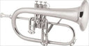 CG Conn Professional Model 1FRSB Flugelhorn