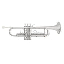 Bach TR650S Bb Trumpet Outfit, Silver Plate
