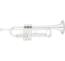 Eastman Professional Series Bb Trumpet with Reverse Leadpipe Silver Yellow Brass Bell ETR824RS