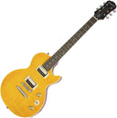 Epiphone Slash AFD Les Paul Performance Pack PPGS-ENA2AANH3-EU