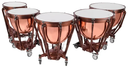 Ludwig LTP505PG Professional Timpani