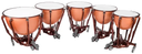 Ludwig LTS405FG Standard Timpani