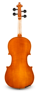 Samuel Eastman VL100