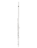 Selmer SFL611 Concert Flute in C