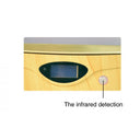 Soundking P2H Flat Panel Speaker