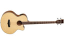 Tanglewood Acoustic  Electric Guitar TW8 E AB