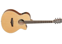 Tanglewood Acoustic  Electric Guitar TW9 E
