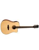 Tanglewood TP5 SE