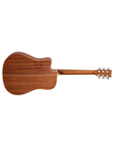 Tanglewood TP5 SE